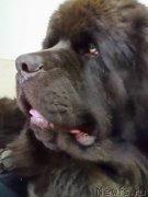 Превью фото № 202054