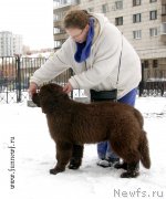 Превью фото № 202056