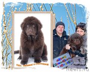 Превью фото № 202070