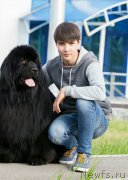 Превью фото № 202071