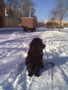 Превью фото № 202120