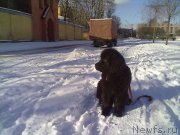 Превью фото № 202122