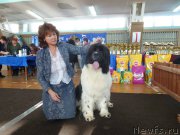 Превью фото № 202131