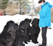 Превью фото № 202144