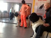 Превью фото № 202159