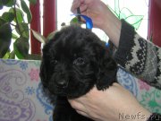 Превью фото № 202165