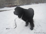 Превью фото № 202201