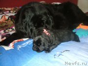 Превью фото № 202218