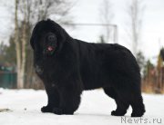 Превью фото № 202246