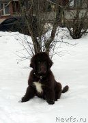 Превью фото № 202264