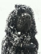 Превью фото № 202283