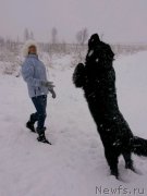 Превью фото № 202284