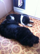 Превью фото № 202305