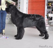 Превью фото № 202319