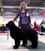 Превью фото № 202321