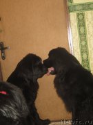 Превью фото № 202337