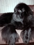 Превью фото № 202386