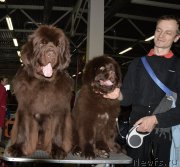 Превью фото № 202462