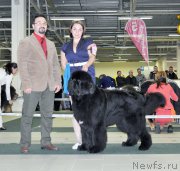 Превью фото № 202475