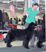 Превью фото № 202476