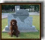 Превью фото № 20248