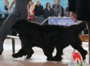 Превью фото № 202656