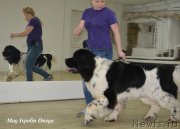 Превью фото № 202661