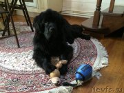 Превью фото № 202664