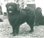 Превью фото № 2027