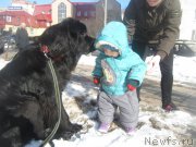 Превью фото № 202702