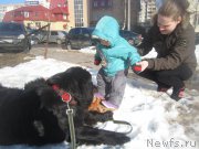 Превью фото № 202706