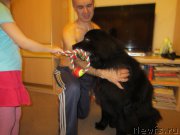 Превью фото № 202708