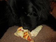 Превью фото № 202723