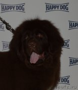 Превью фото № 202730