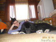 Превью фото № 202731