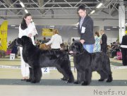 Превью фото № 202738