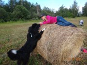 Превью фото № 202769