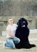 Превью фото № 202782