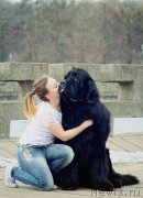 Превью фото № 202783