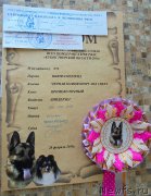 Превью фото № 202806