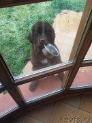 Превью фото № 202825