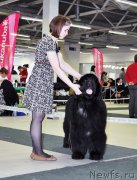 Превью фото № 202828