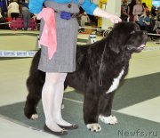 Превью фото № 202830