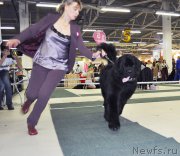 Превью фото № 202837