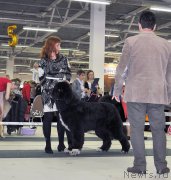 Превью фото № 202840