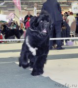 Превью фото № 202841