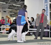 Превью фото № 202842