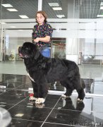 Превью фото № 202850