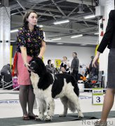 Превью фото № 202852