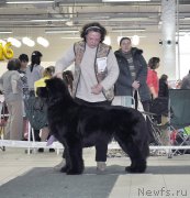 Превью фото № 202856